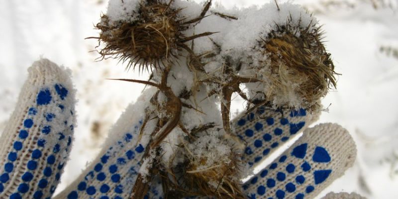 Что делать если заготовки замерзли на балконе